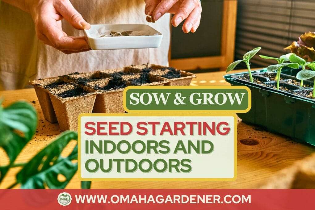 A person sowing mustard greens seeds in trays on a wooden table, surrounded by plants, with a sign reading "sow & grow seeds starting indoors and outdoors". omahagardener.com