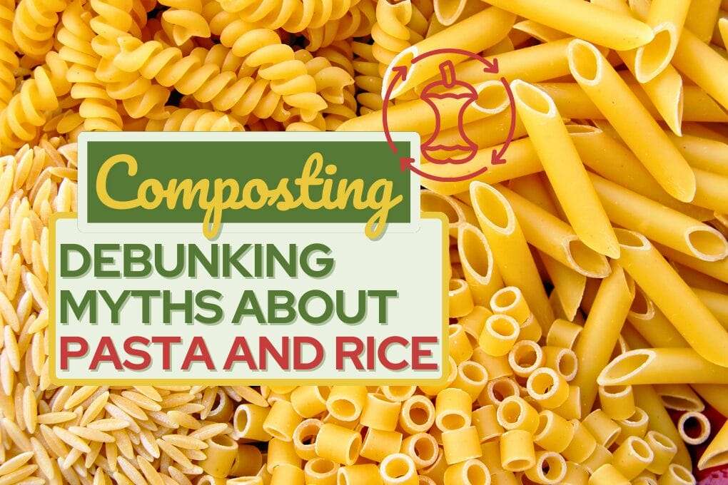 DEbunking Myths about pasta and rice no og