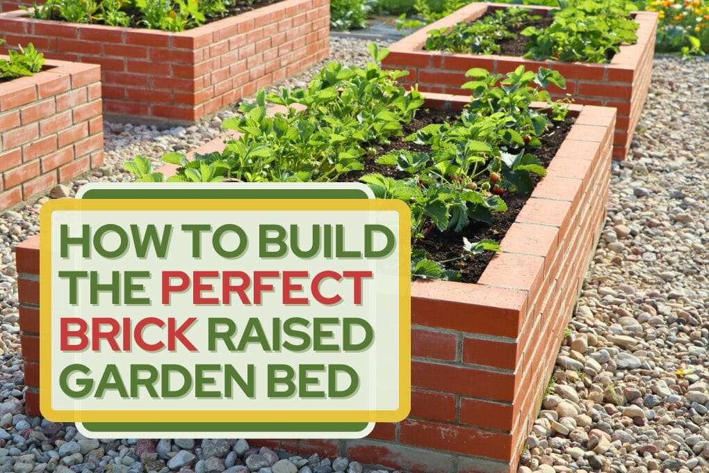 How to Build the Perfect Brick Raised Garden Bed no og