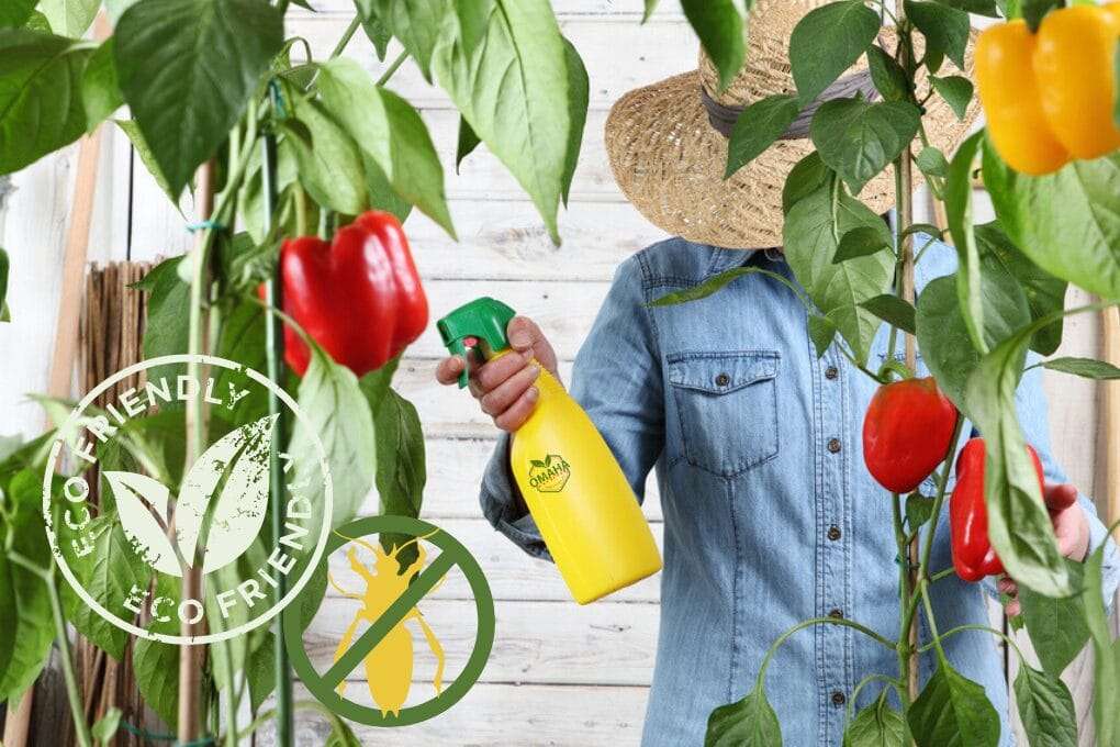 A person in a denim shirt and straw hat sprays plants with a yellow bottle labeled “Eco-Friendly Pest Control” amidst green leaves and red and yellow bell peppers. omahagardener.com