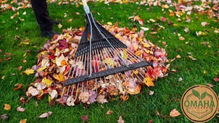 Person raking a pile of colorful autumn leaves on a green lawn, showcasing the garden transition from summer to fall. The logo "Omaha Gardener" is visible at the bottom right corner. omahagardener.com